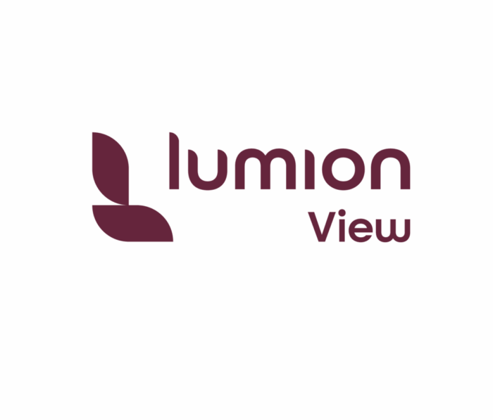 Lumion View 一年期